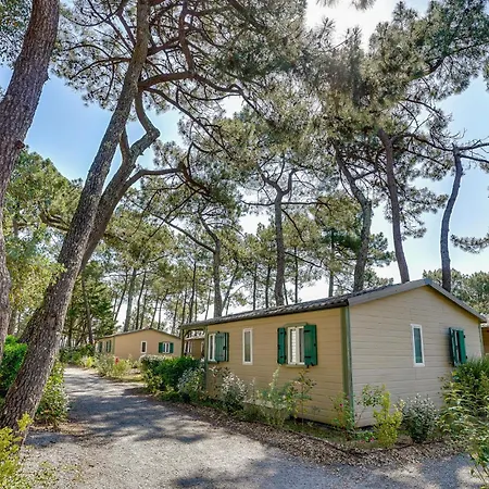 Awesome In La Faute-sur-Mer